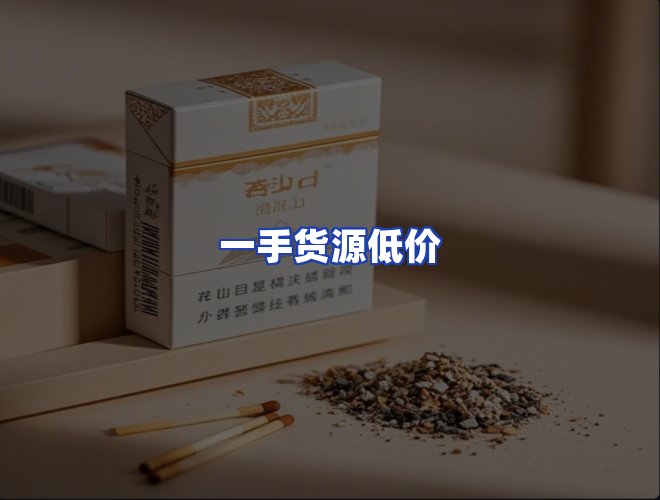 专业团队